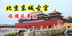 男人操女人逼视频免费观看网站中国北京-东城古宫旅游风景区